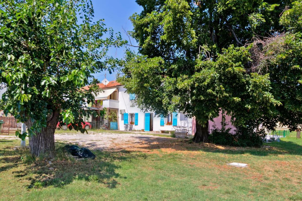 Apartmani Anna ウマグ エクステリア 写真
